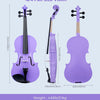 Vangoa 4/4 Full Size Violin Set for Beginners, Entry-level Fiddle Kit for Kids, Adults, Girls, Complete Starter Accessories Bundle with Rubber Muter, Purple