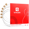 Vangoa Classical Guitar Strings, Nylon Guitar String Set for Classical Guitar, Replacement 6 Guitar Steel Nylon Strings for Classical Guitar Acoustic Guitar, 28-43 Gauge