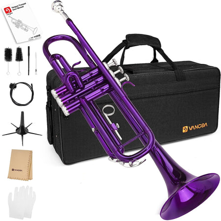 Wind Instrument Golden Ultimate Shining 4 Valve Brass Piccolo, Weight: 1 kg  at Rs 4200 in Meerut